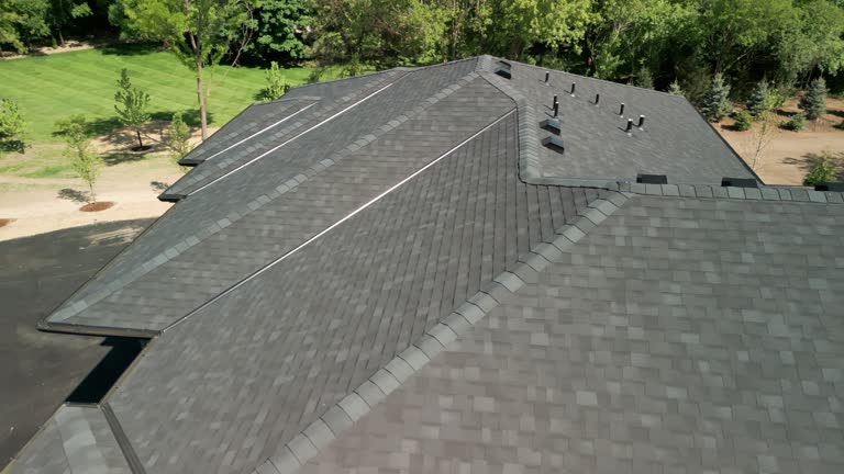 Best Roof Moss and Algae Removal  in Pataskala, OH
